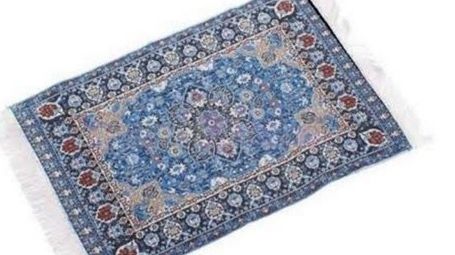 Şi-a comandat online un covor. Când a deschis coletul a murit de râs. Iată ce a primit! FOTO