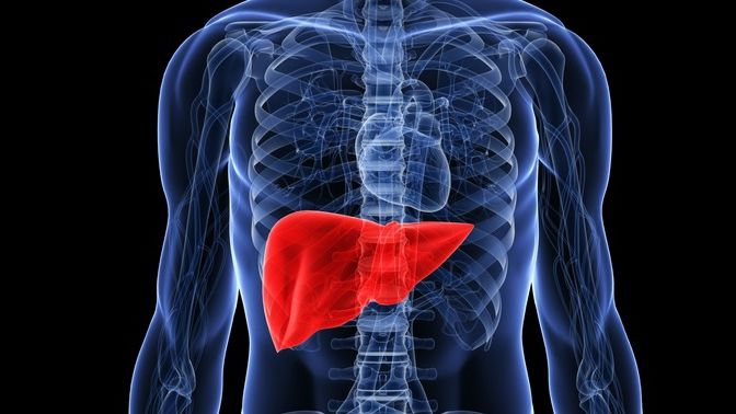 Cel mai eficient tratament naturist care ajută la regenerarea fiscatului. Efectele se văd imediat