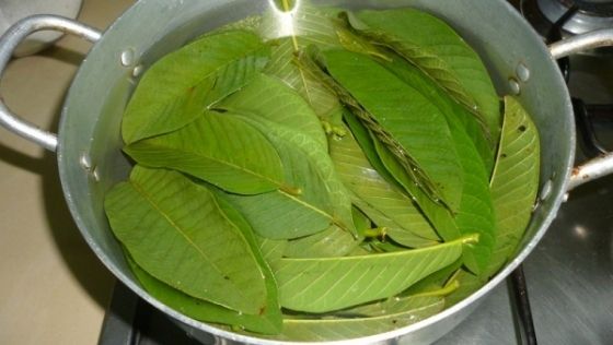 Frunzele care stopează căderea părului . Efectele sunt uimitoare