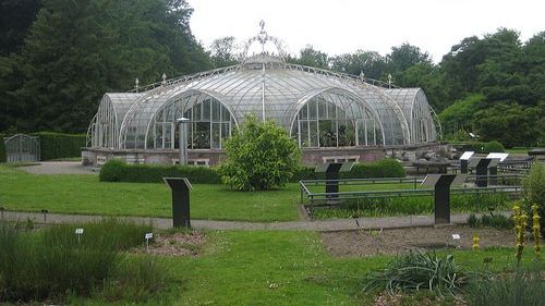 Descoperire incredibilă într-o grădină botanică. "Se întâmplă foarte rar!"