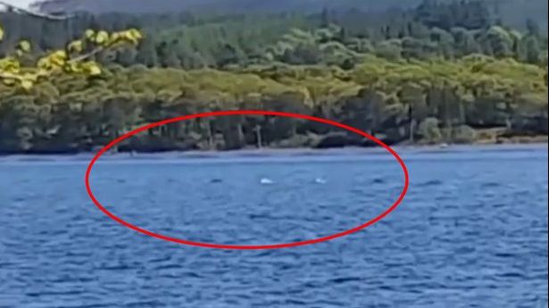 A filmat lacul, dar când s-a uitat la imagini, s-a speriat. Cum arată creatura ciudată de sub apă