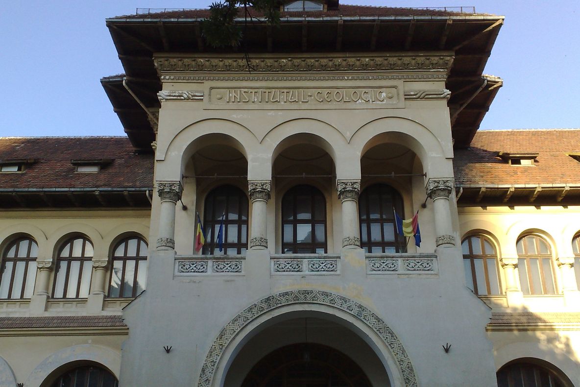 Ştefan Grigorescu, fost director al Institutului Geologic, urmărit penal. Ce acuzaţii i se aduc