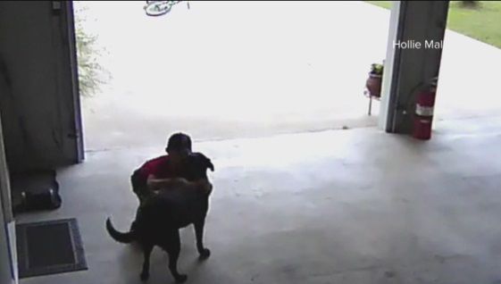 Au pus o cameră video şi au văzut un copil care făcea zilnic acealaşi lucru. Motivul, sfâşietor