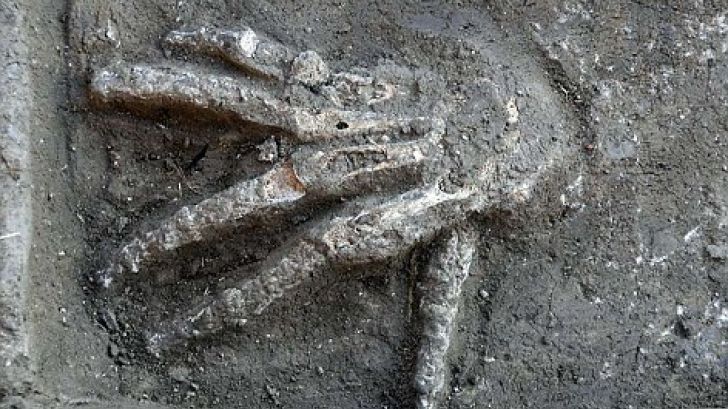 Descoperirea care i-a îngrozit pe arheologii egipteni