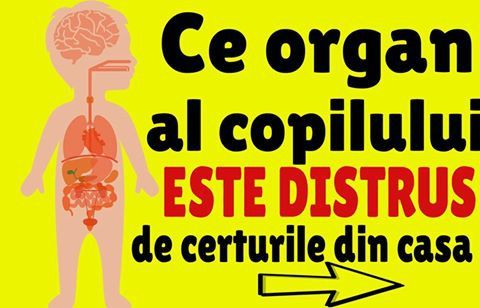 Ce organ al copilului tău se îmbolnăvește de la certurile din casă