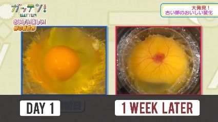 Experimentul care-ţi va da fiori pe şira spinării! Cum se formează puiul de găină. Ce secret ascunde