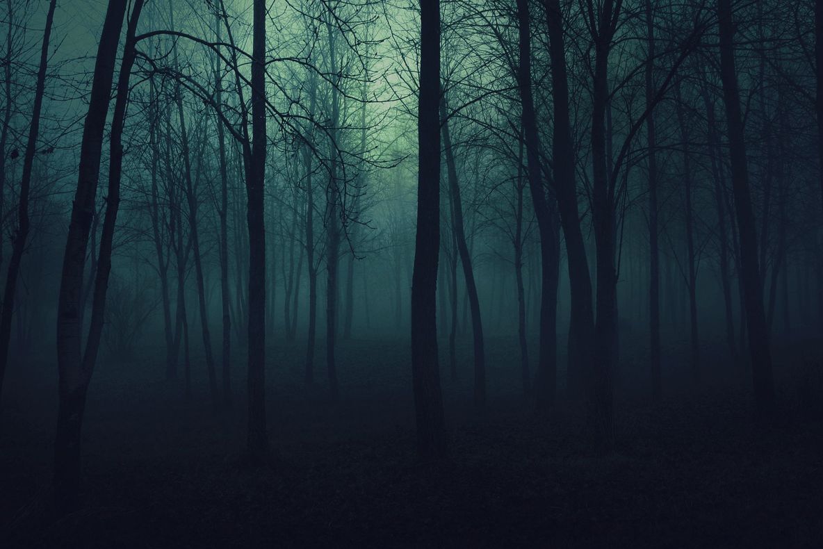 Au vrut să îl pedepsească şi l-au abandonat în pădure. Ce s-a întâmplat cu copilul lor de doar 7 ani