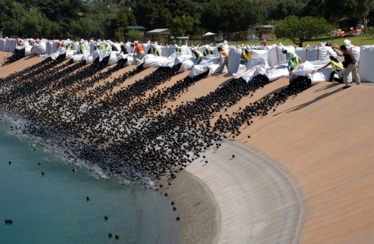 Au aruncat milioane de mingi negre de plastic în apă. Motivul, halucinant!