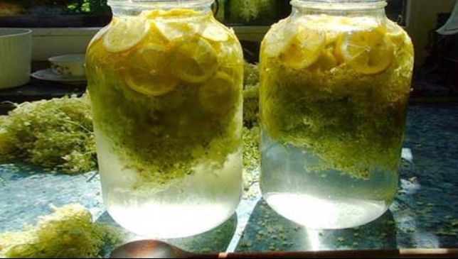 Cum se prepară cea mai bună socată. Secretul băuturii răcoritoare de casă