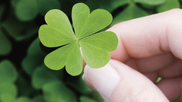 Au noroc din plin: 4 zodii cărora viaţa le-a oferit totul!