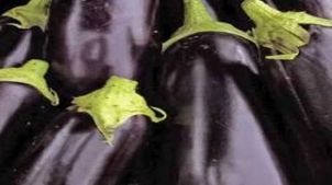 Ce se întâmplă în corpul tău când consumi vinete. Acum că ştii, mai mănânci?