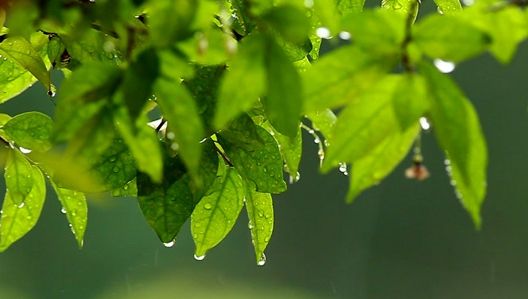 PROGNOZA METEO. Cum va fi vremea până în weekend. Vești noi de la meteorologi