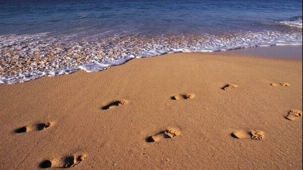 Mergea pe plajă și a călcat pe ceva moale. Apoi nisipul a început să se miște. A dat să fugă, dar...