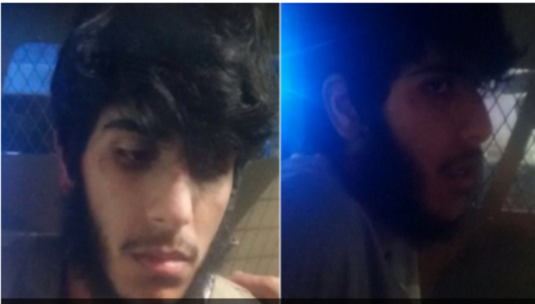 Cazul gemenilor care și-au ucis mama a îngrozit familia și țara întreaga. Dar motivul crimei este..