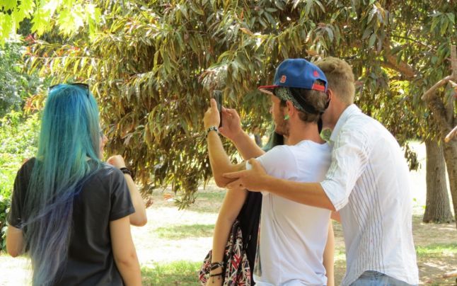 Isteria Pokemon Go face prima victimă în rândul vedetelor din România. A fost lovită la cap 