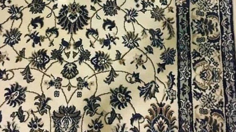 Testul telefonului a înnebunit internetul. Găsește smartphone-ul așezat pe covor!