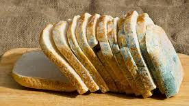 Ce întâmplă dacă mănânci pâine mucegăită? Este mai rau decât credeai