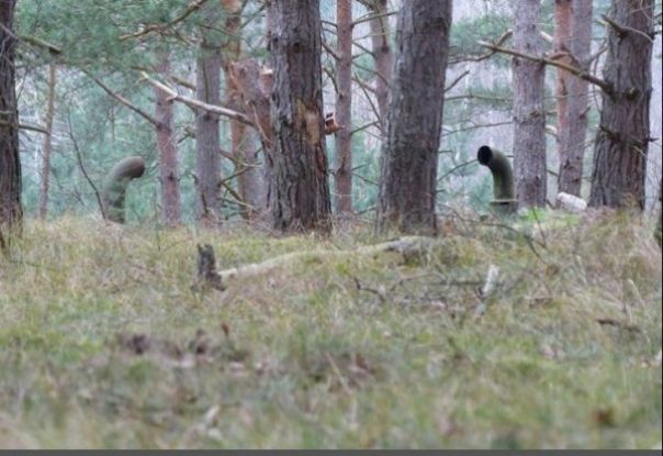 Au văzut nişte conducte în pădure. Au intrat în ele şi au rămas şocaţi când au văzut unde au ajuns