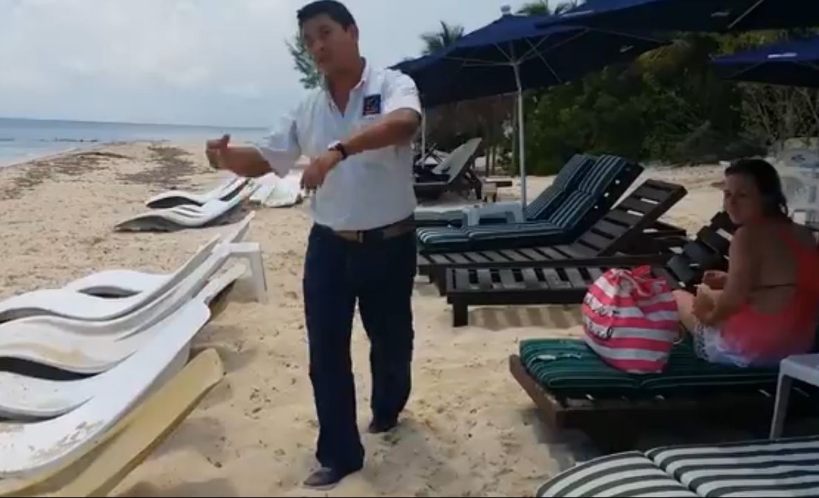 Făceau plajă când printre şezlonguri a apărut ceva şocant! Turiştii au filmat totul