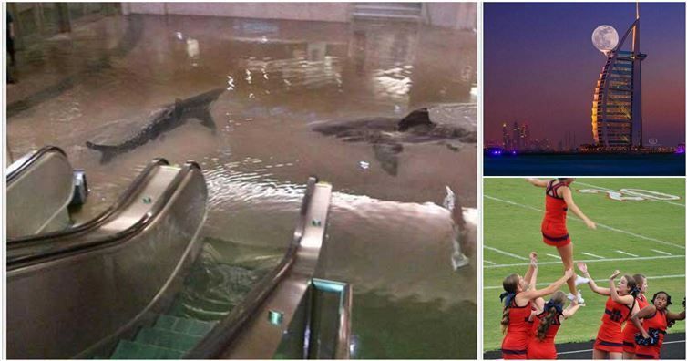 Fotografii VIRALE, complet FALSE. Dacă ai fi făcut pariu că sunt reale, ai fi pierdut tot!