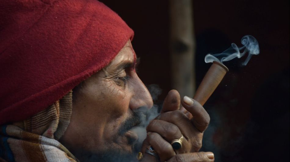 O băutură halucinogenă, veche de mii de ani, poate stimula producerea de noi neuroni