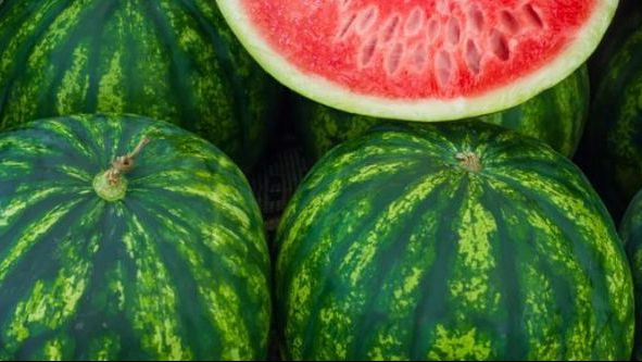 Mănânci acest tip de pepene? NU o mai face! Sănătatea ta este pusă în pericol