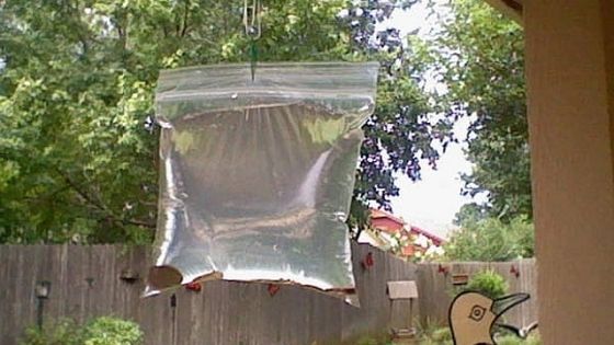 A agăţat pungi transparente umplute cu apă şi monede în dreptul geamului. Motivul incredibil!