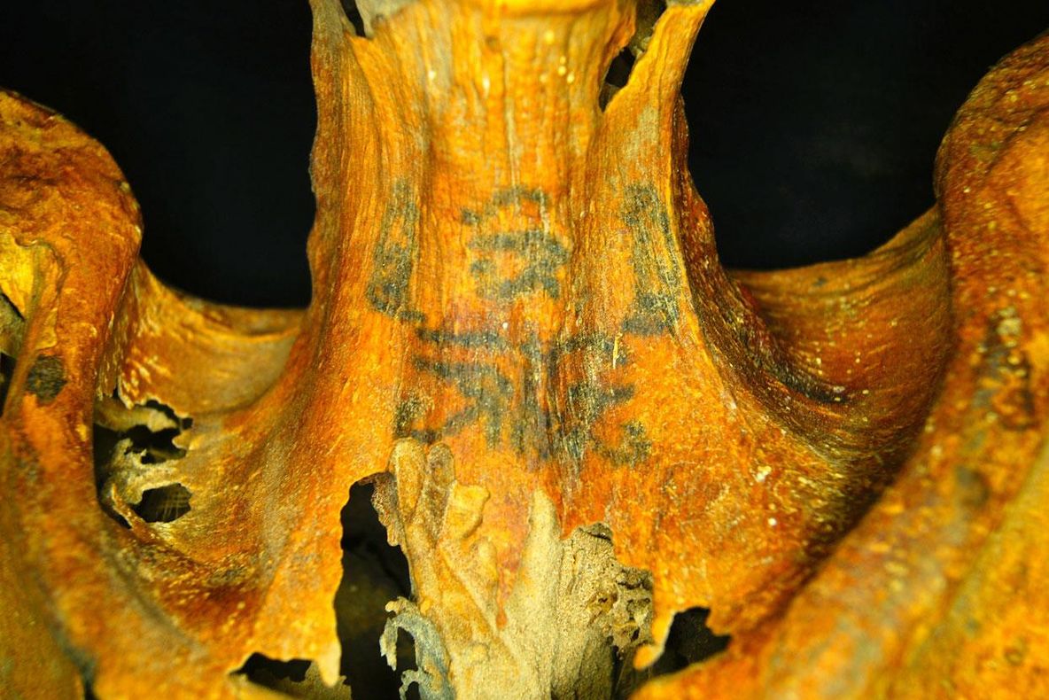 Top 10 cele mai șocante mumii descoperite de arheologi. Rămâi fără cuvinte când le vezi