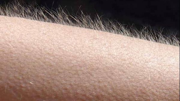 Ce se înâmplă când ți se face pielea de găină. Are un rol la care nu te-ai gândit