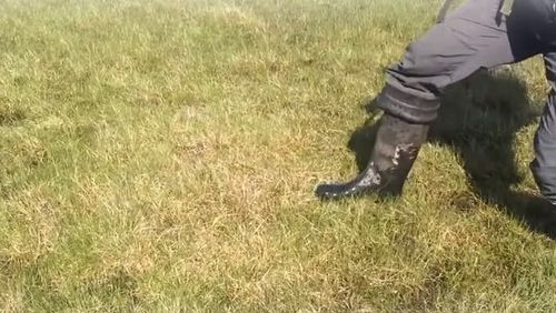 A plecat să vâneze rațe sălbatice. Deodată, pământul a început să se miște. Dar nu era cutremur! 