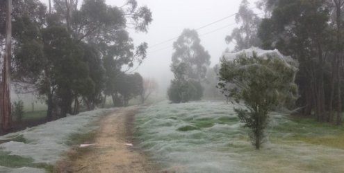 Ce a descoperit o femeie, în timp ce juca Pokemon Go: "Tot oraşul era acoperit" 