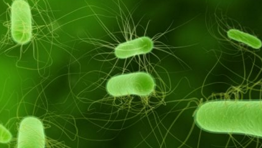 Alertă: Zeci de oameni infectați cu o superciupercă la Londra. Se răspândește rapid și este mortală