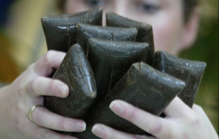 Șofer român, implicat într-o captură uriașă de droguri în Marea Britanie 