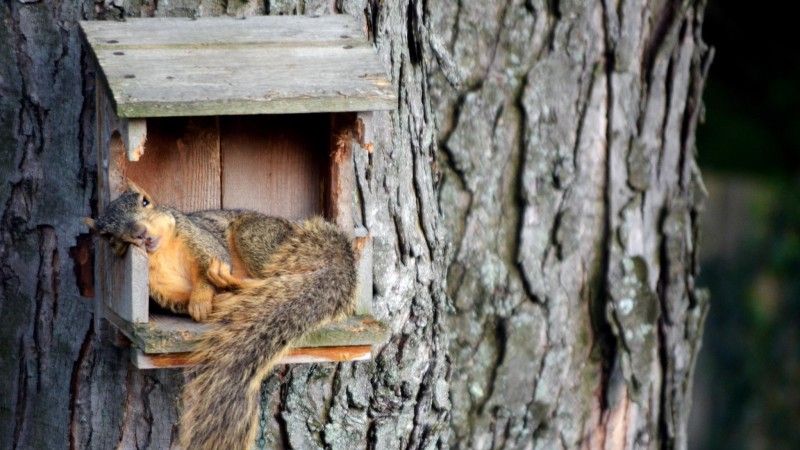 Primăria din Bistrița riscă o amendă imensă! Motivul este neobişnuit