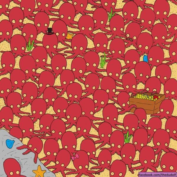 91% dintre internauţi nu au putut găsi peştele ascuns printre aceste caracatiţe. Tu o poţi face?