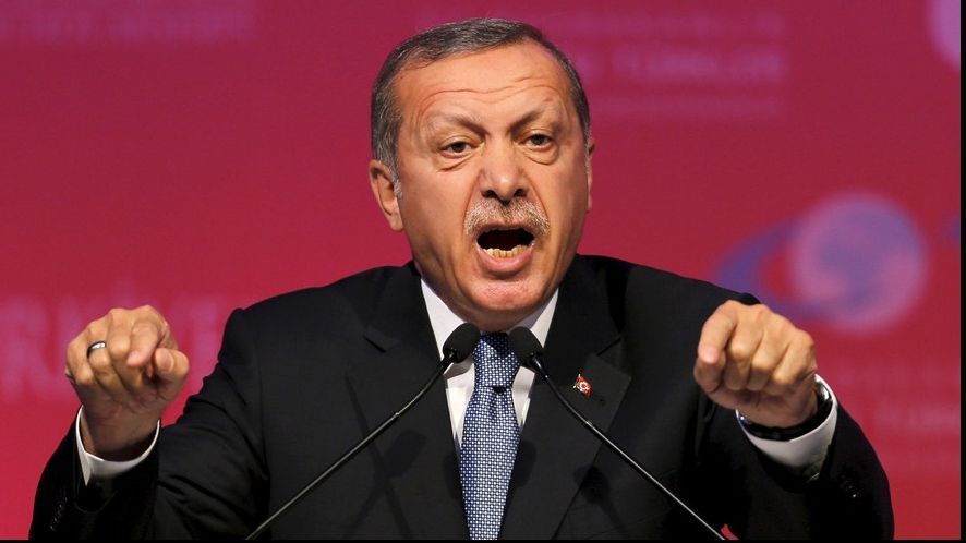 Erdogan, presiuni la G20 în vederea creării unei "zone sigure" pentru refugiaţi sirieni în Siria