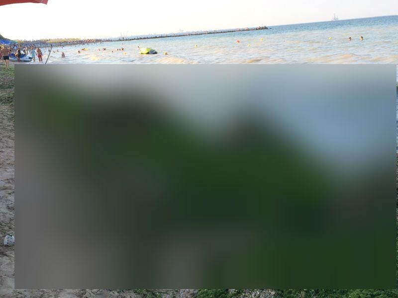 Martor ocular. Ce au văzut turiștii din Eforie Sud pe plajă. Este dezgustător