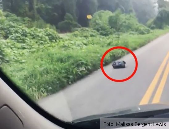 A văzut pe marginea drumului o pungă de gunoi care se mişca. Când a deschis-o, n-a mai zâmbit