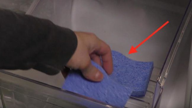 Această femeie pune 3 bureți în frigider. Când o să vezi ce se întâmplă o să vrei să faci la fel