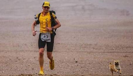 Un maratonist s-a trezit cu un câine care alerga după el. Ce a urmat emoţionează întreaga lume!