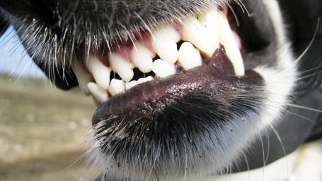 Şi-a parcat maşina în spatele blocului,dar când a văzut ce se întâmplă cu ea şi-a pus mâinile în cap