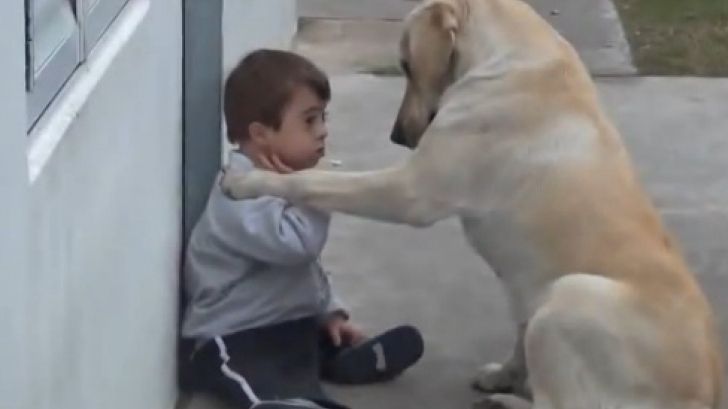 Cea mai iubitoare căţeluşă din lume. Gestul care-l face pe un copil cu sindrom Down s-o îmbrăţişeze