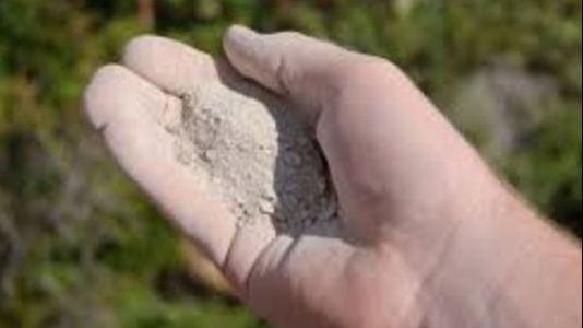 Familia i-a aruncat cenușa în mare. Două luni mai târziu, ceva de necrezut s-a întâmplat