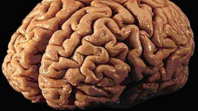 Creierul unui celebru cântăreţ, analizat de oamenii de ştiinţă. Ce au descoperit!