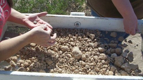 Descoperire FANTASTICĂ în Bulgaria. Va intra în istorie!