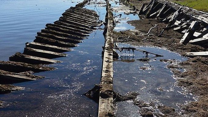 Descoperire uimitoare! După 140 de ani, a fost găsit într-o mlaştină din Siberia