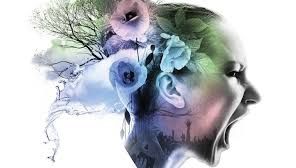 Doliu naţional pe 13 august: Spellground Festival a fost ANULAT