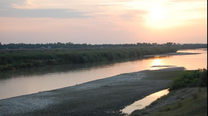 Panică în Buzău: Au fost descoperiți mii de pești morți! Autoritățile de mediu sunt în alertă 