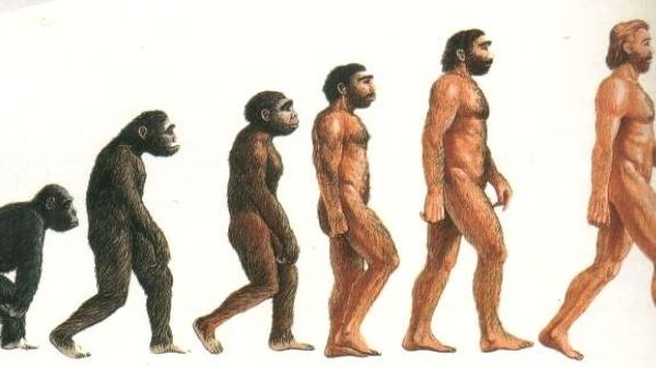 Evoluţia speciei umane nu s-a încheiat! Teoria care va schimba tot ce ştii despre oameni