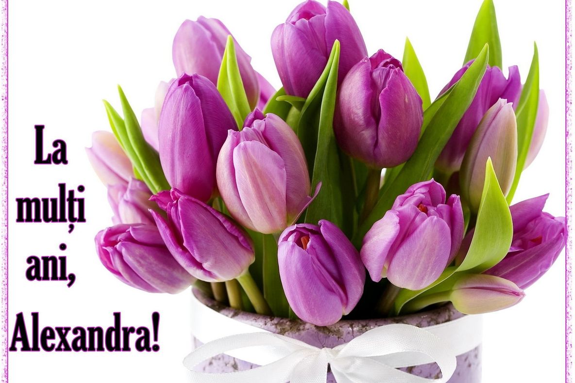 Sf. ALEXANDRU 2016. Mesaje, urări, sms-uri şi felicitări de Sfântul Alexandru. LA MULŢI ANI!